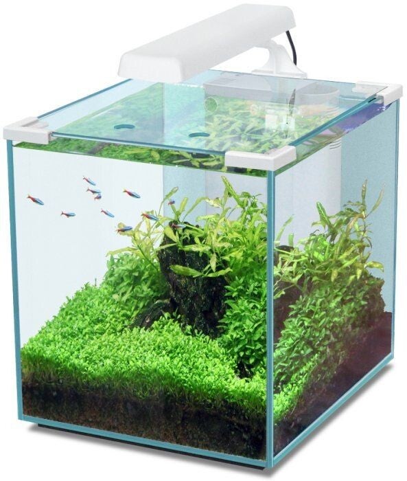 Nano Cubic 30 LED witte aquariumset