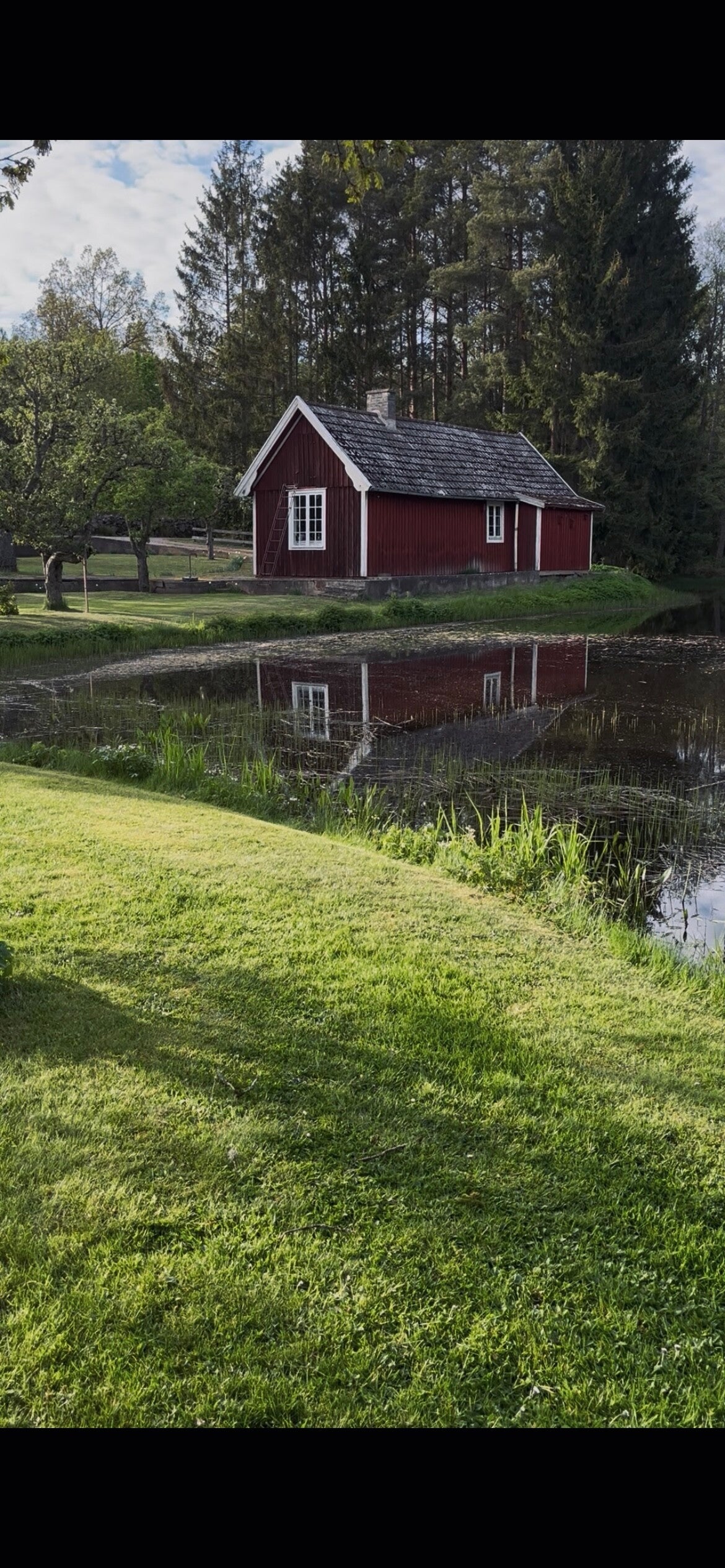 Ett falurött skur på en grön tomt med skog i bakgrunden och en sjö framför