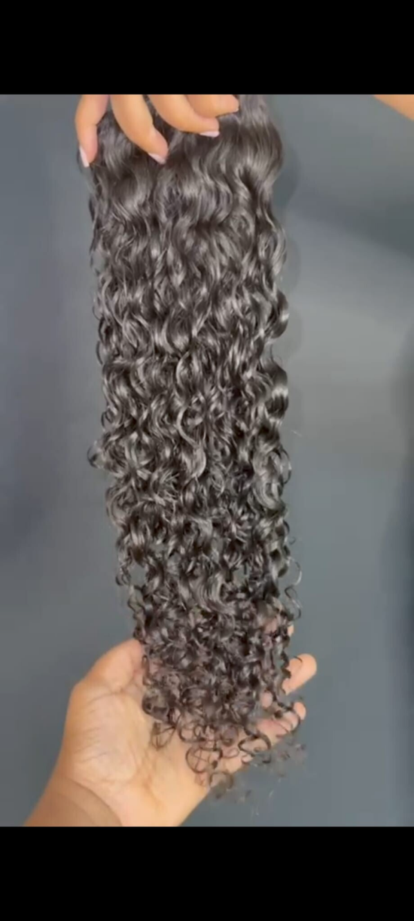 Burmese Silk Curls