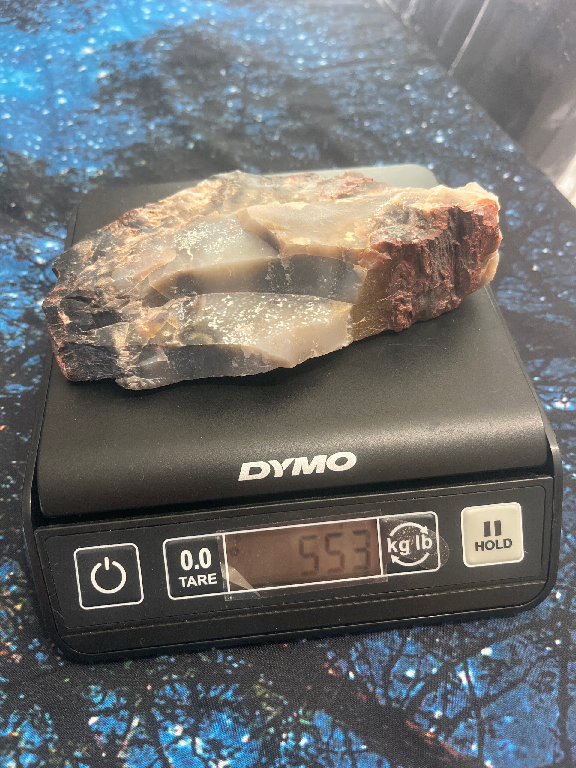 Arizona Petrified Wood