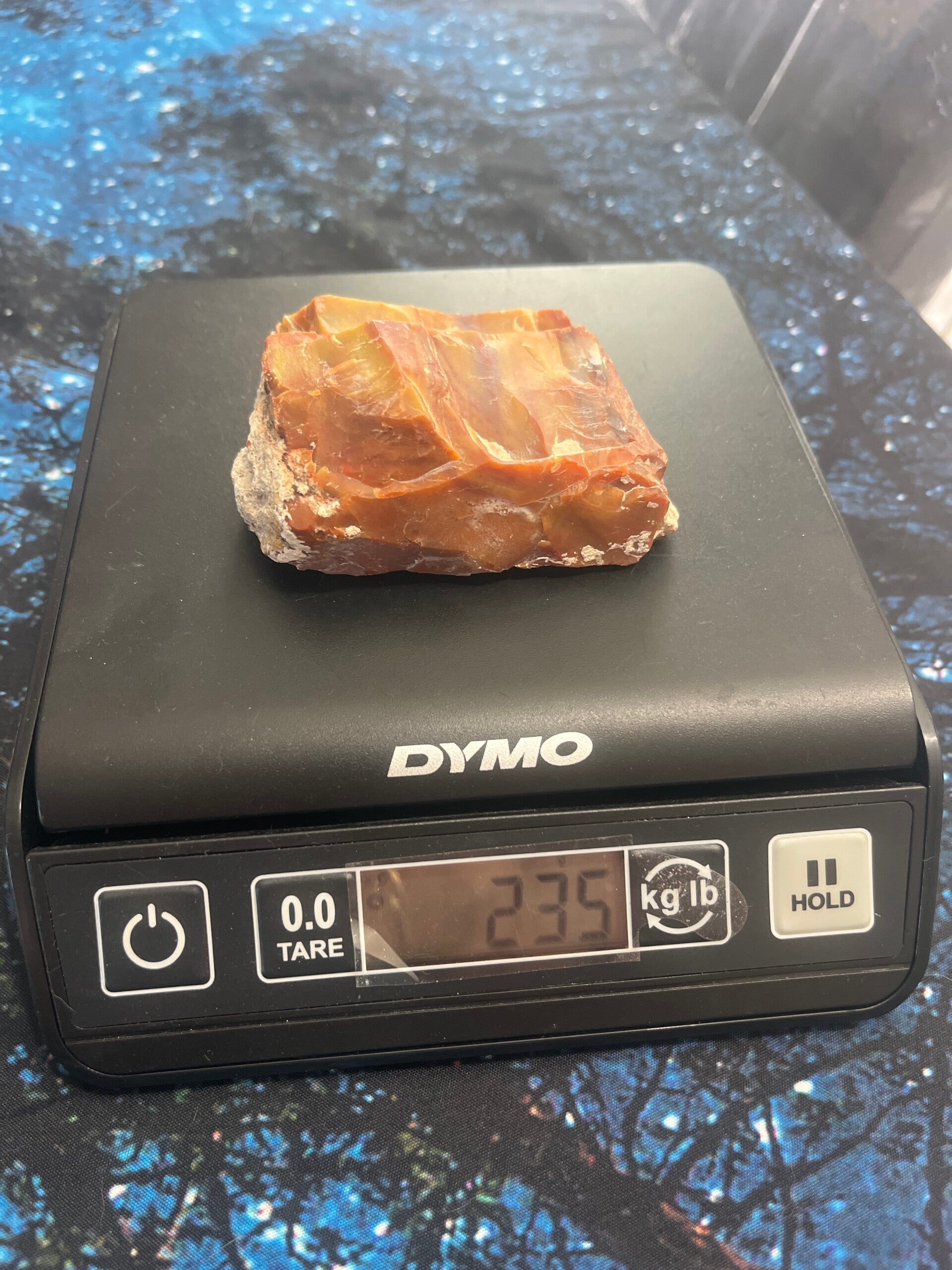 Arizona Petrified Wood
