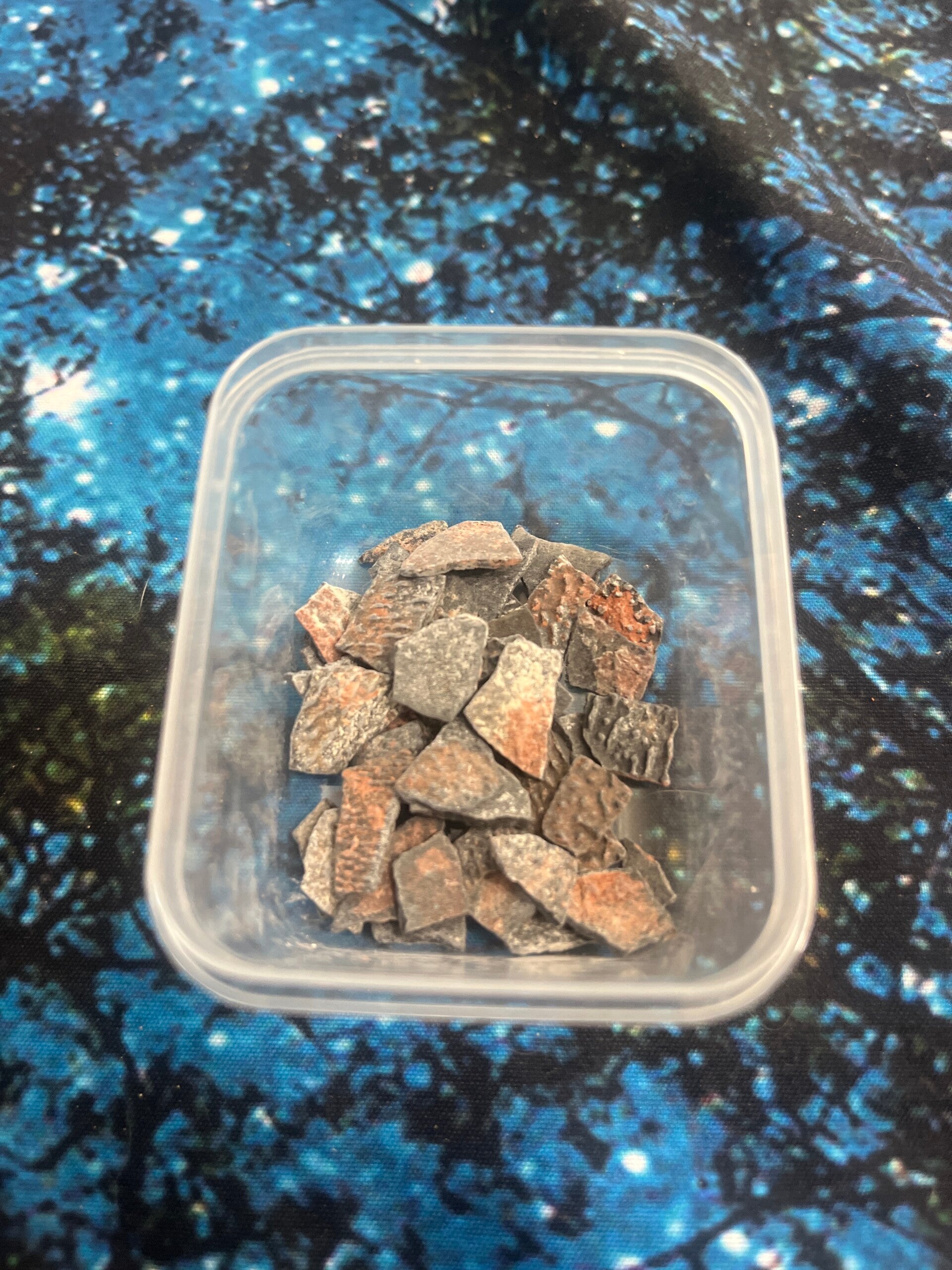 Utah Raptor Eggshells