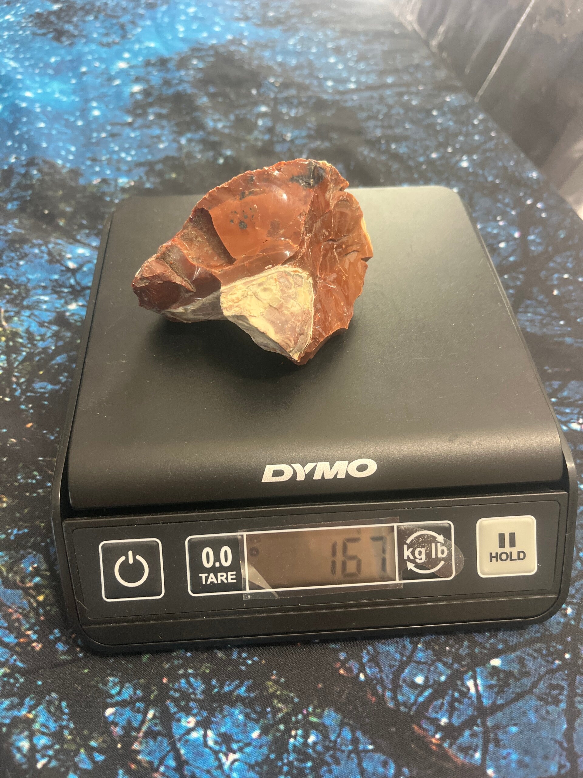 Arizona Petrified Wood