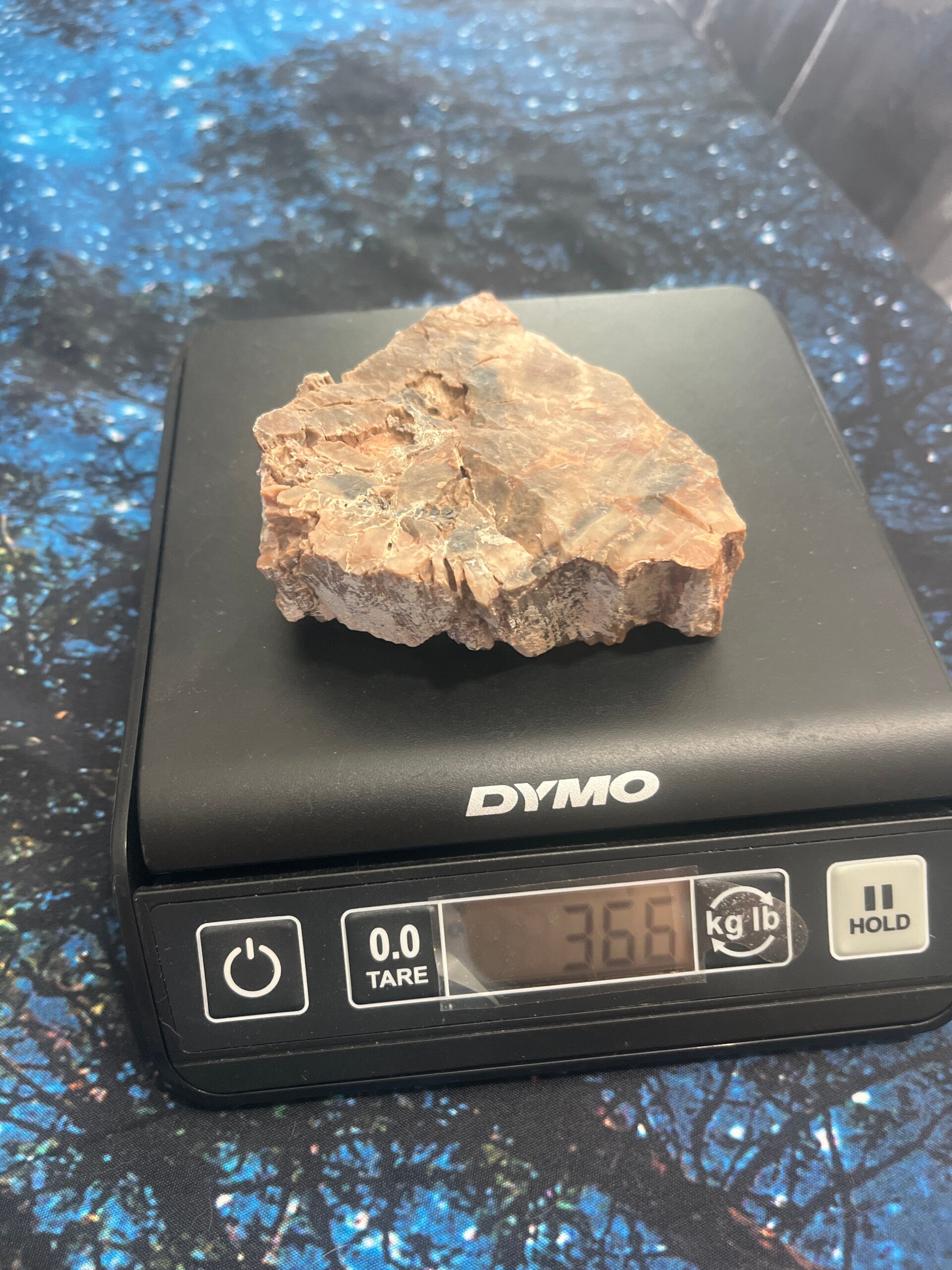 Arizona Petrified Wood