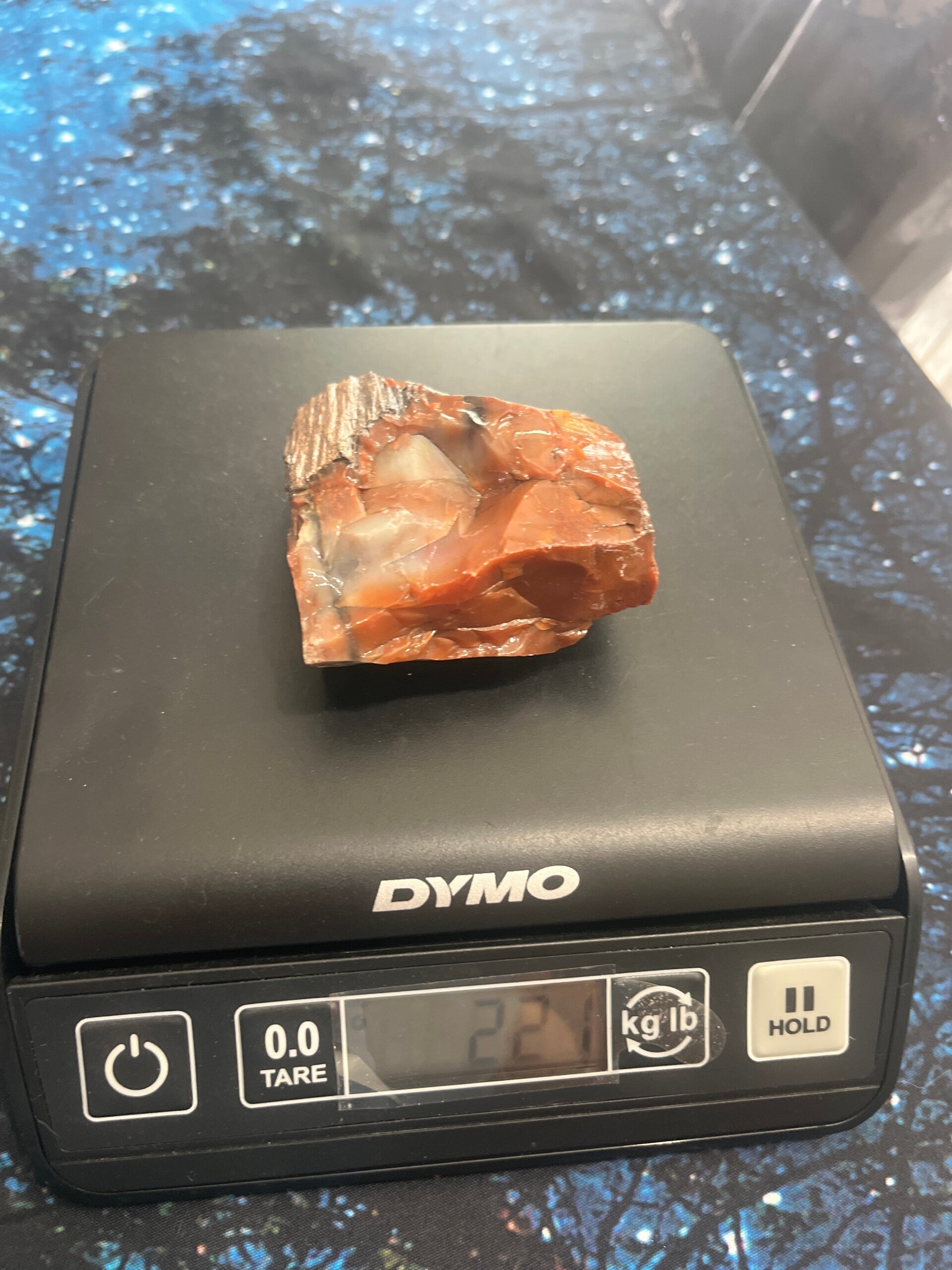 Arizona Petrified Wood