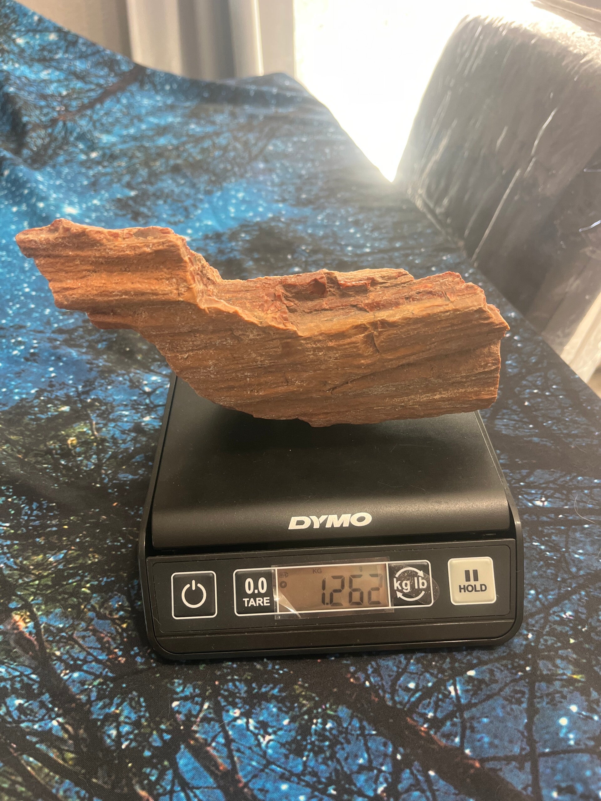 Arizona Petrified Wood