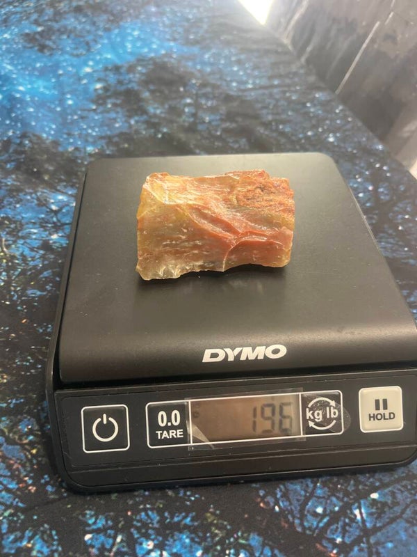 Arizona Petrified Wood