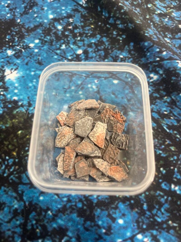 Utah Raptor Eggshells