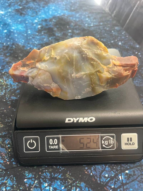Arizona Petrified Wood