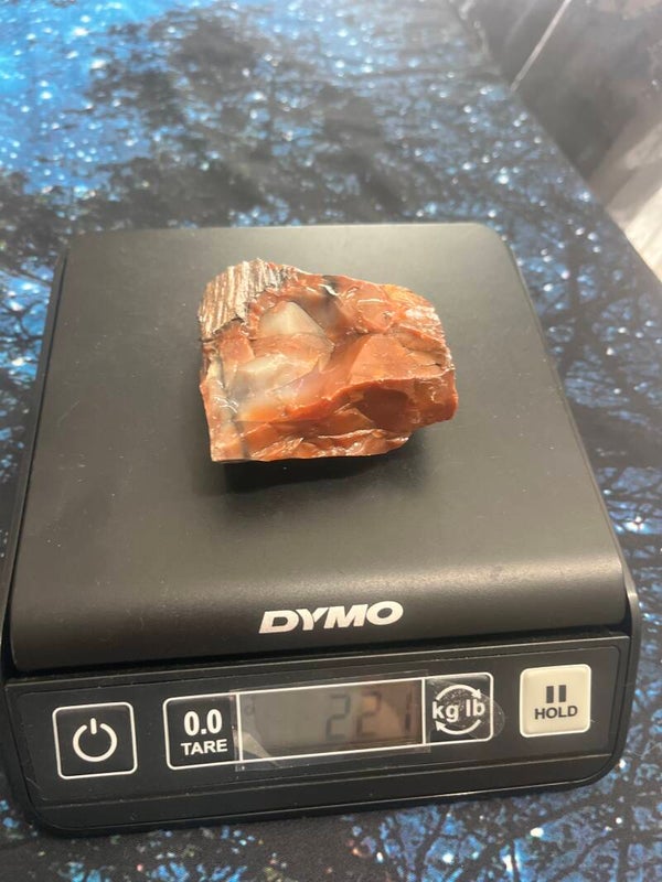 Arizona Petrified Wood