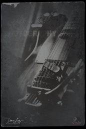 rocknrollphoto1flickr_50115558286_o.jpg