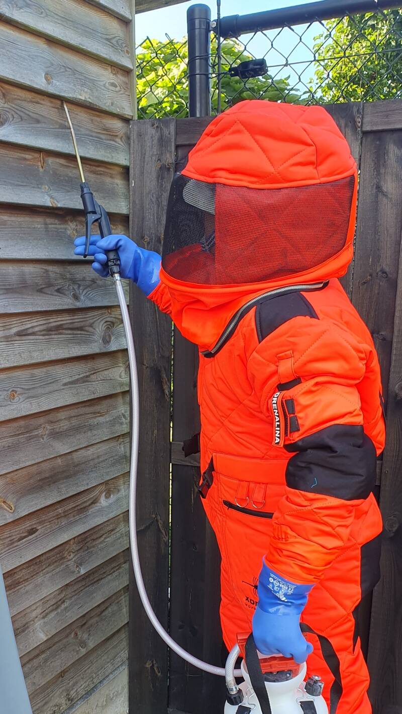 wespen nest op moeilijke plaatsen.jpg