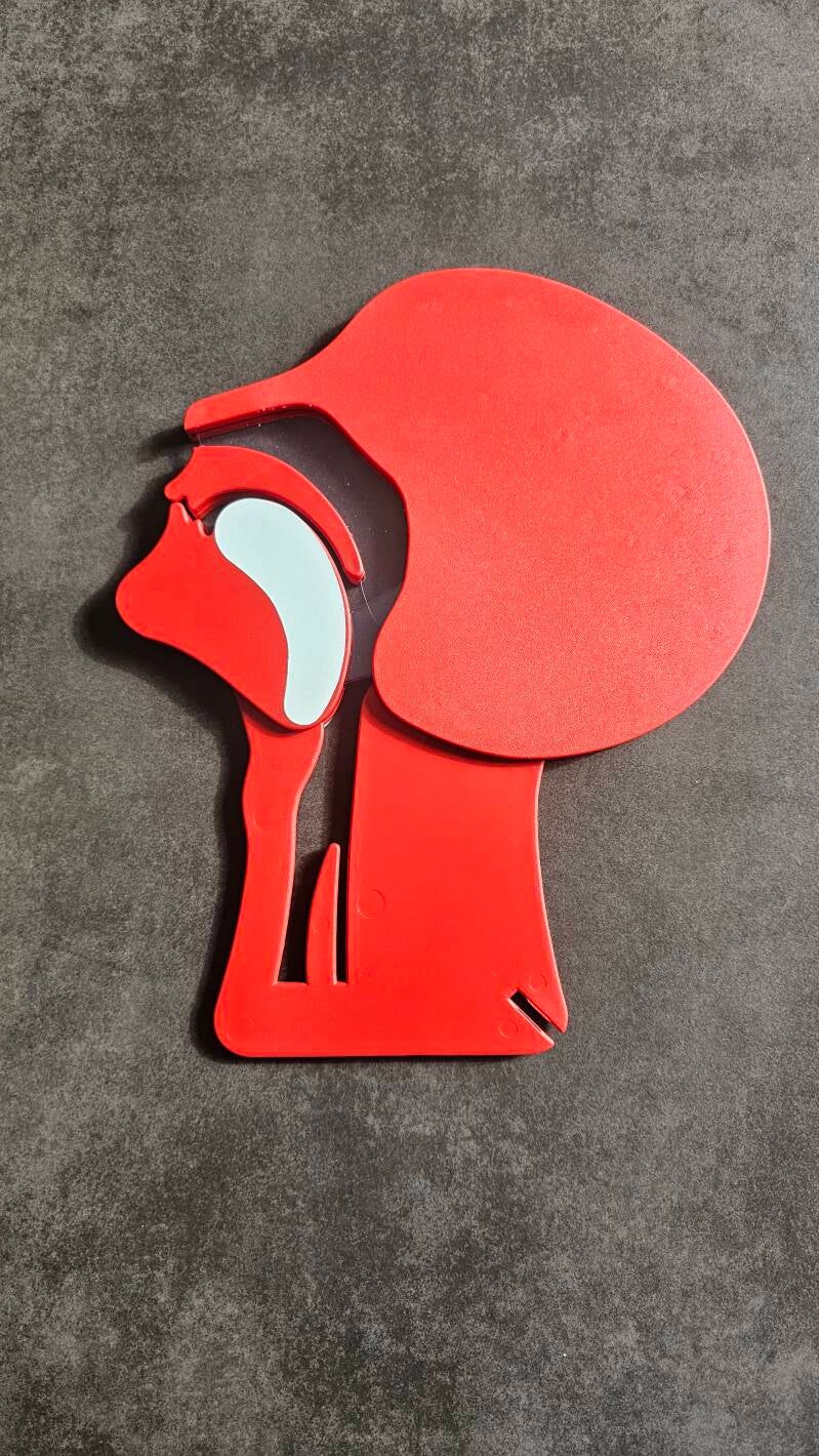 didactisch materiaal luchtweg