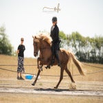 img_0448-standard.jpg