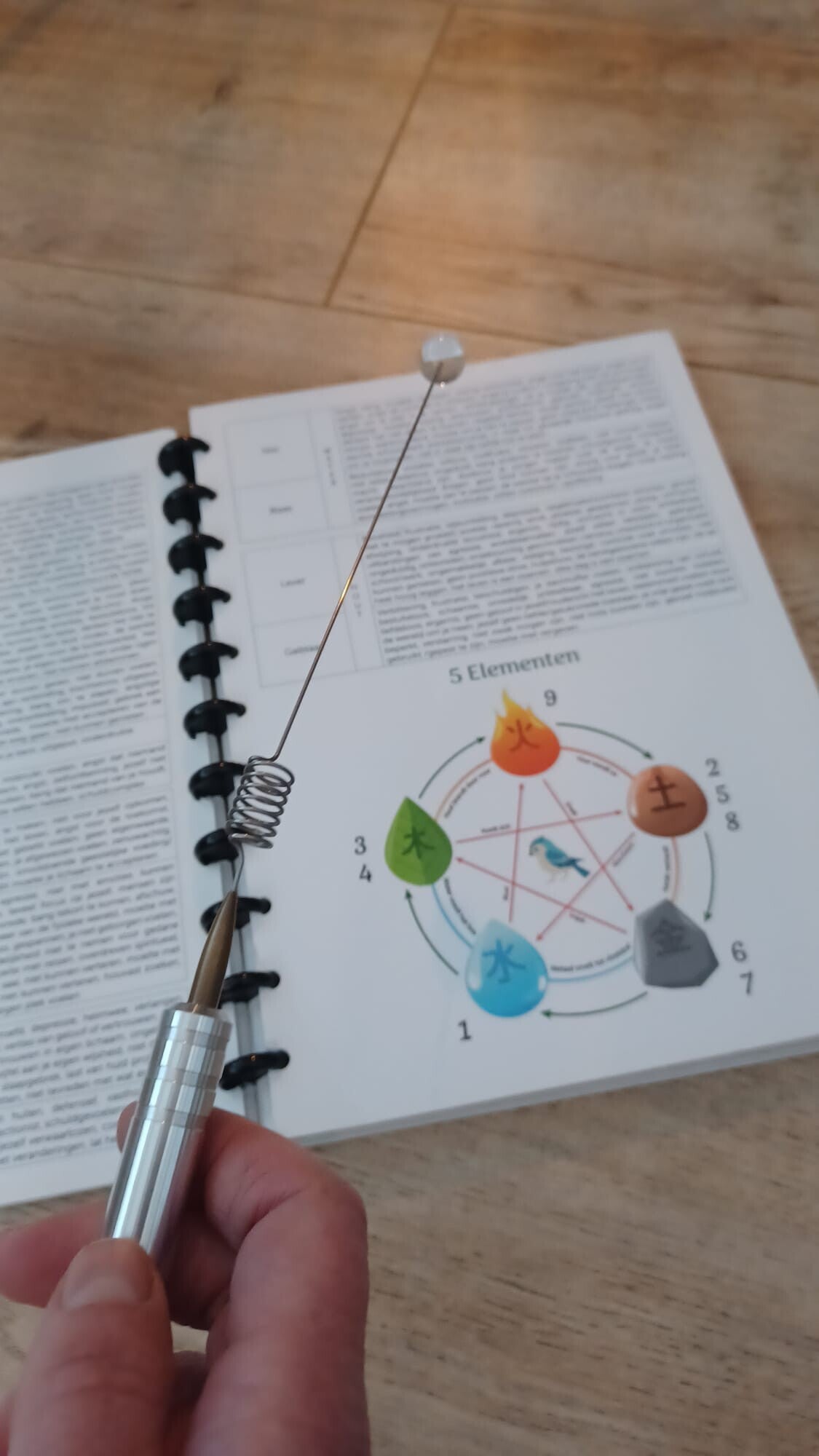 Nei therapie icm biotensor