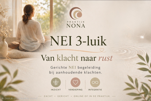 NEI 3 luik in 3 termijnen