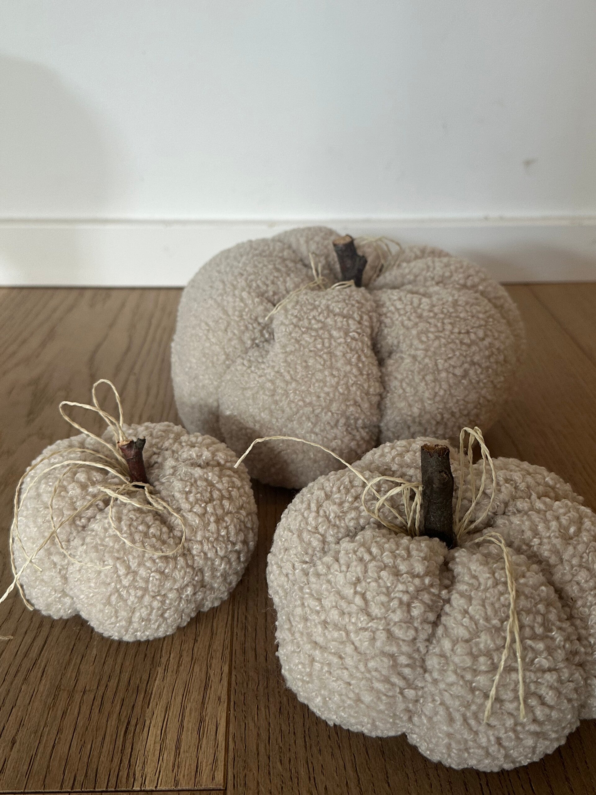 hey Kürbis Trio Teddy