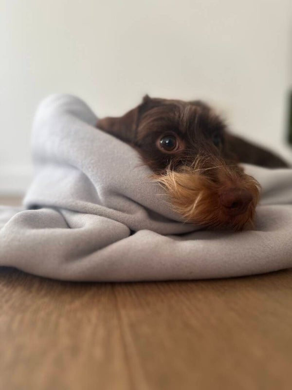 hey DreamBag light - Fleece