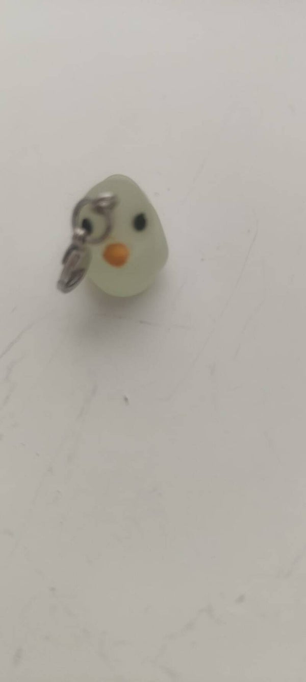 lucky charm duck green