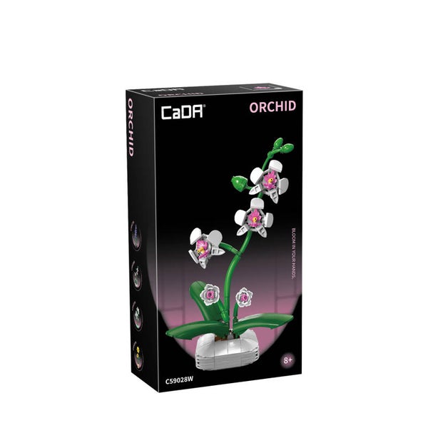 C59028W CADA ORCHIDEE IN BLOEMPOT