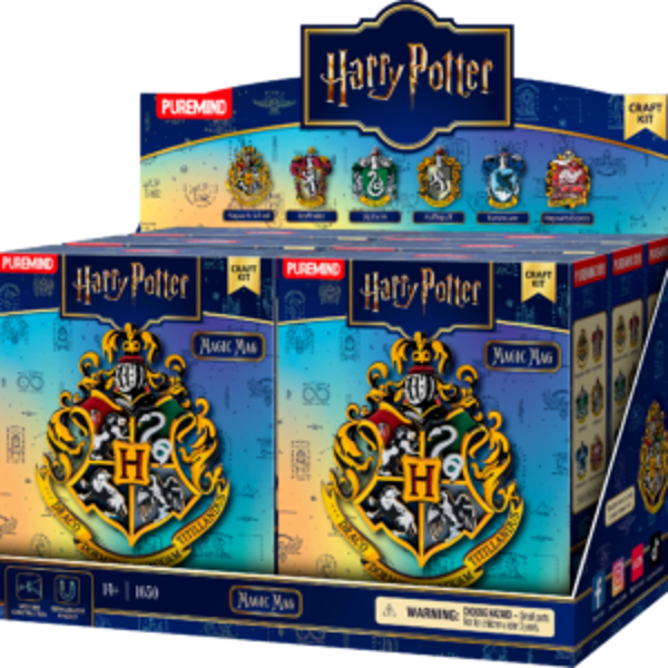 Puremind 1650 Harry Potter Blind Box inhoud 6 st magneten
