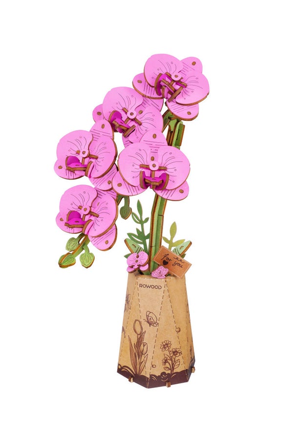 TW091 Rowood Purble Moth Orchid/ Paarse Orchidee