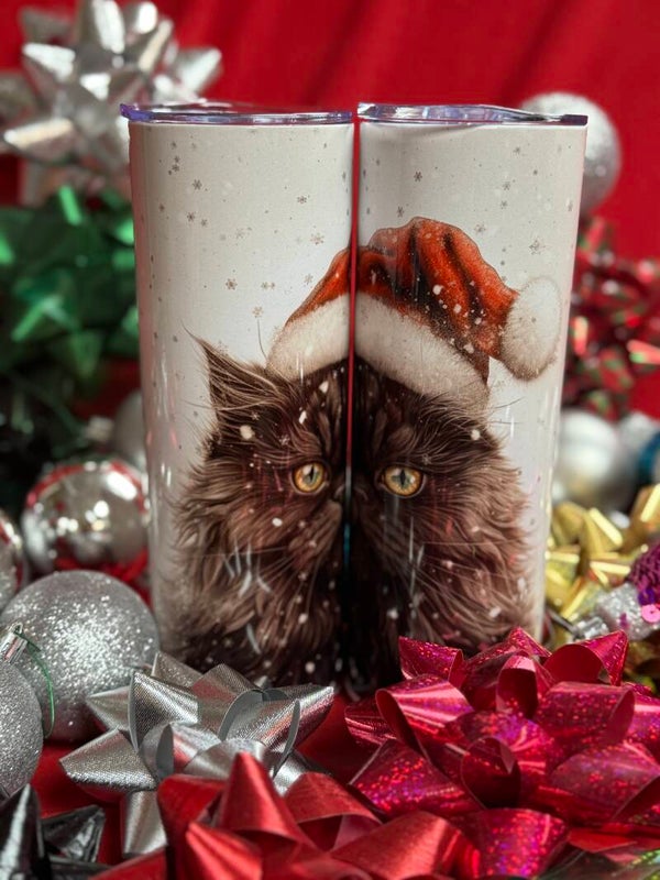 N  024  Chat de Noël