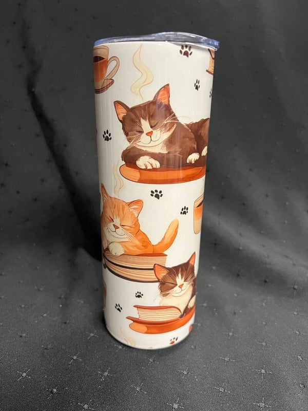 046  petit chat