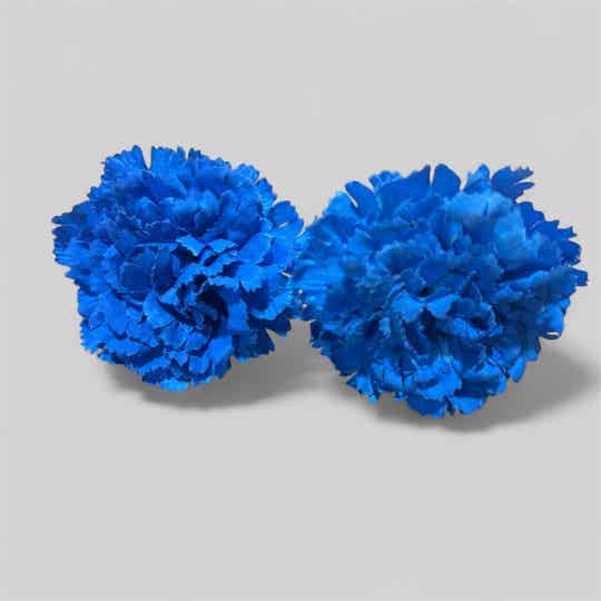 Clavel Flamenco (unidad)