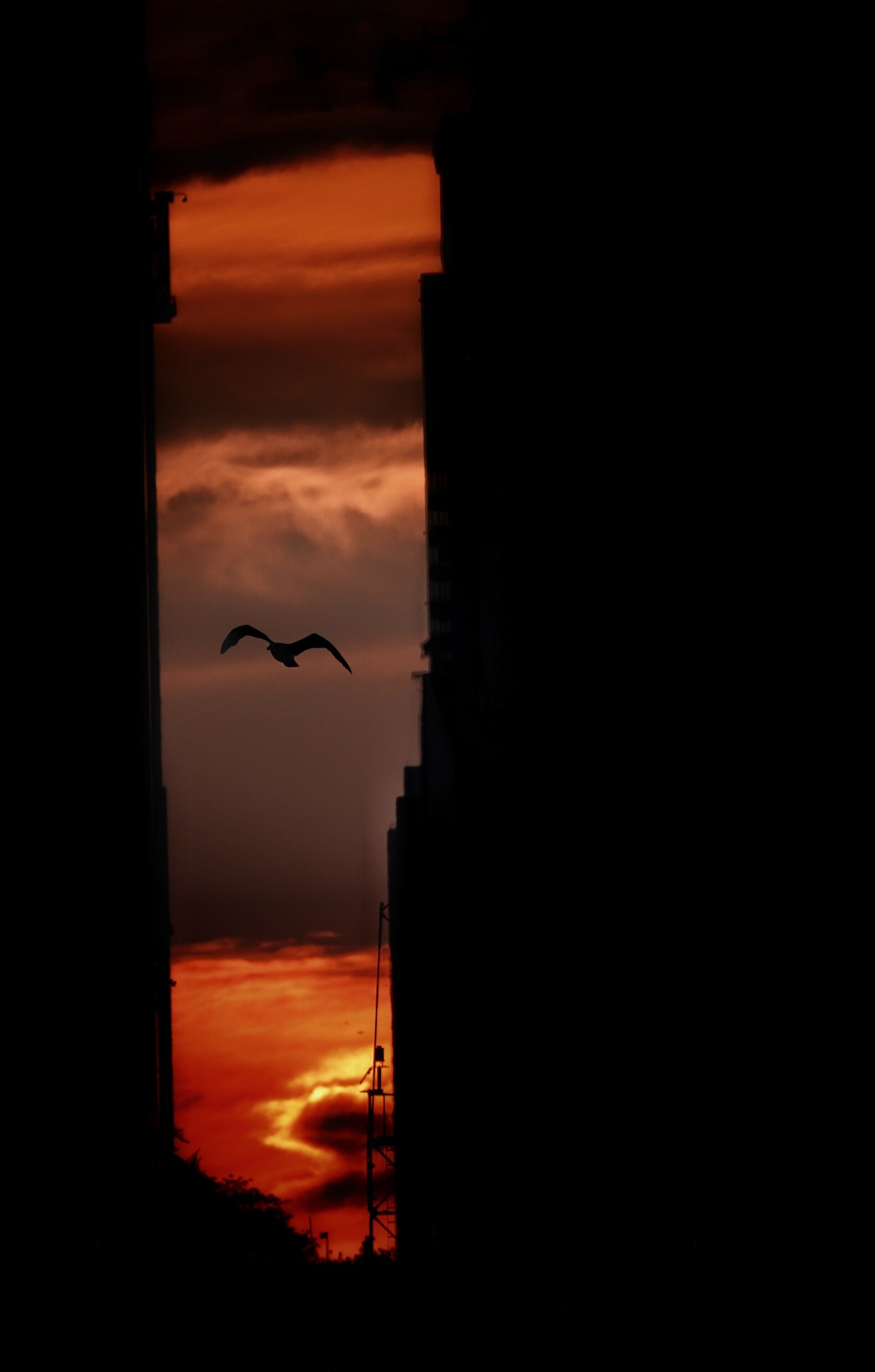 Manhattan Sunset 50x80