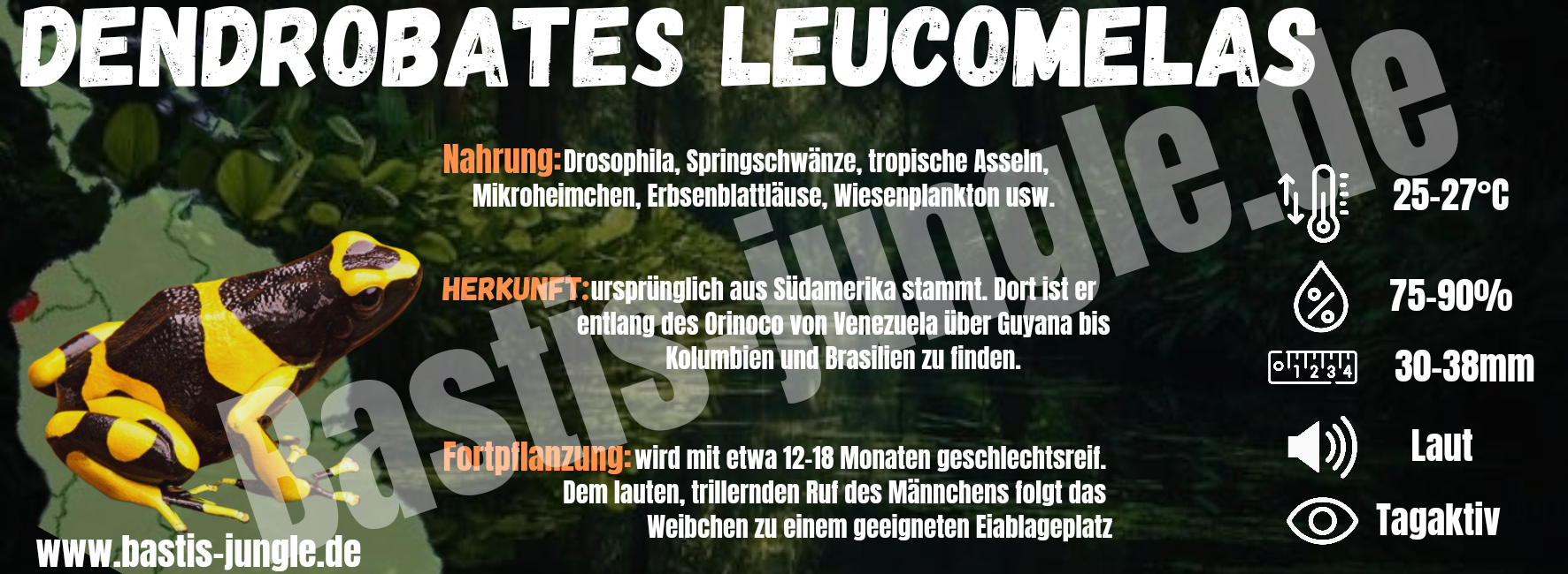Dendrobates Leucomelas (info karte/ Terra label)