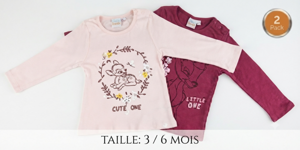 Lot de 2 pull Disney 3/6 mois Neuf avec étiquettes.