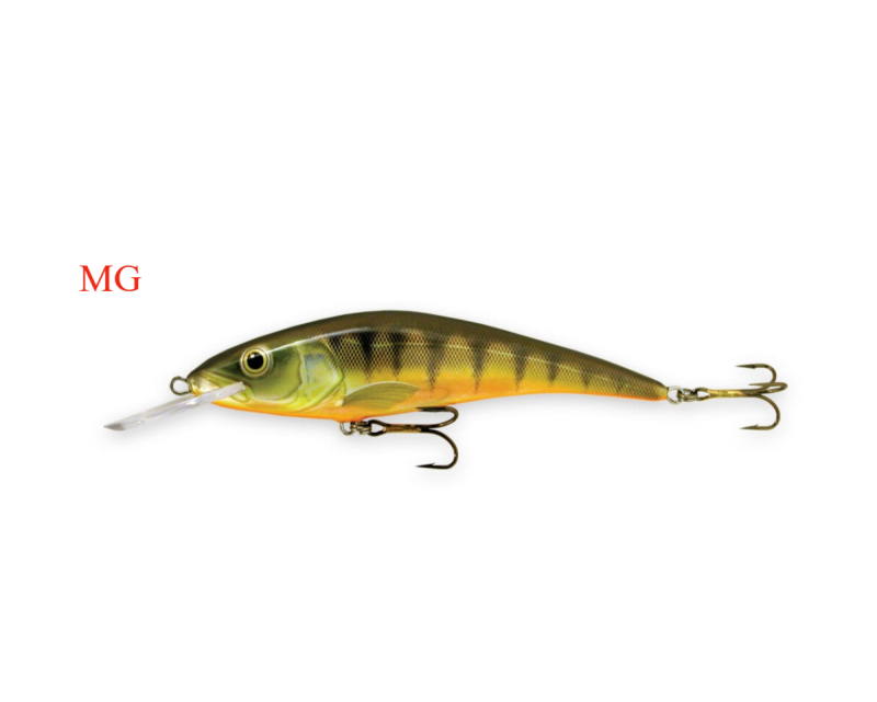Seeforelle / Fischarten / Infos, Tipps und Tricks | Swiss Tackle