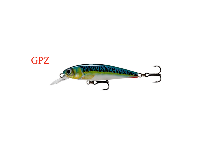 Seeforelle / Fischarten / Infos, Tipps und Tricks | Swiss Tackle