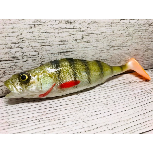 BARSCH 18 CM (SEWRO)