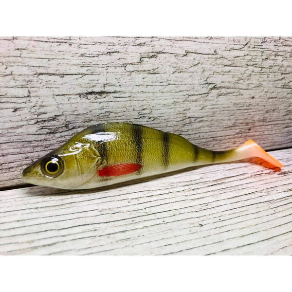 BARSCH 14 CM (SEWRO)