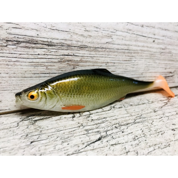ROTFEDER 14 CM (SEWRO)