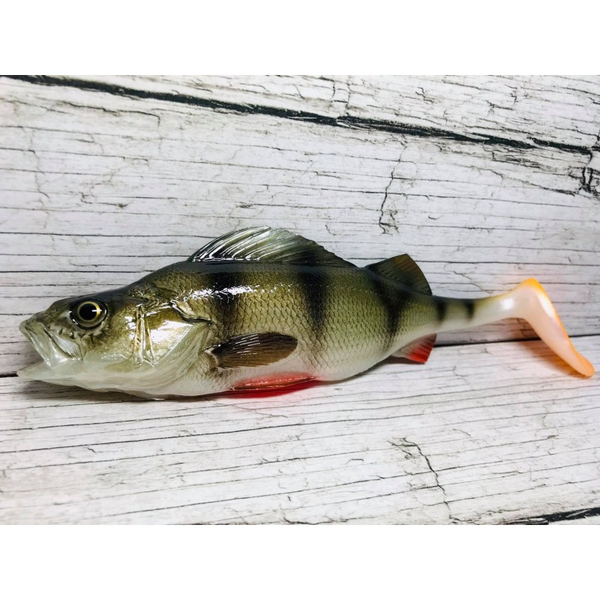 BARSCH 25 CM (SEWRO)