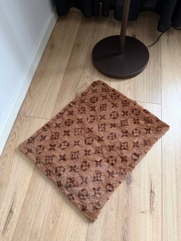 LV teddy kleed 50x40