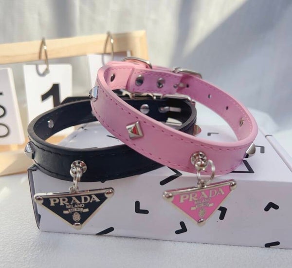 Pawda halsband + Lijn