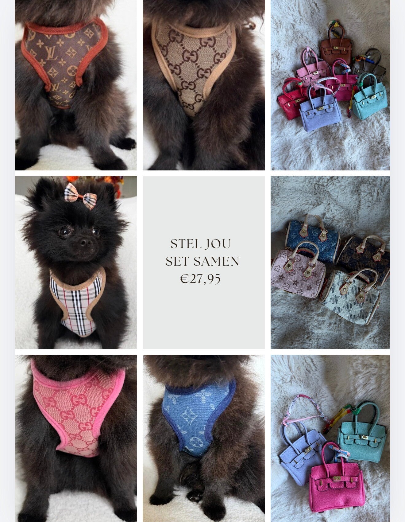 Designer set: tuigje + lijn + poepzakhouder