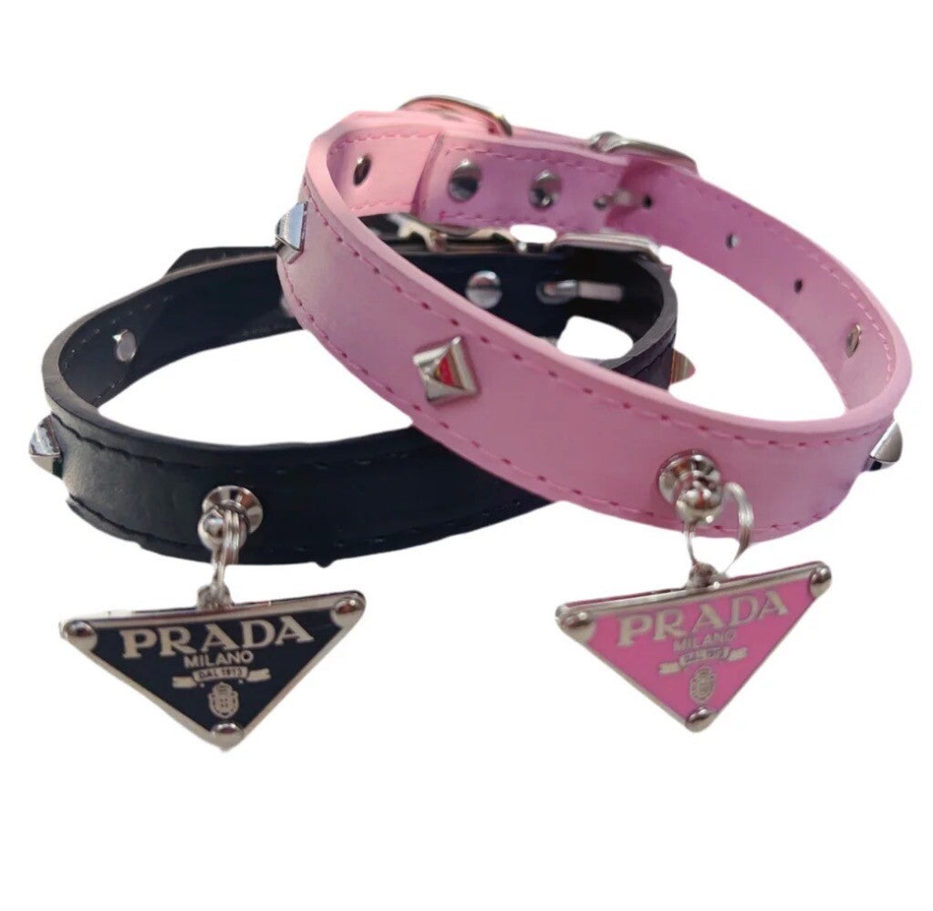 Pawda halsband + Lijn