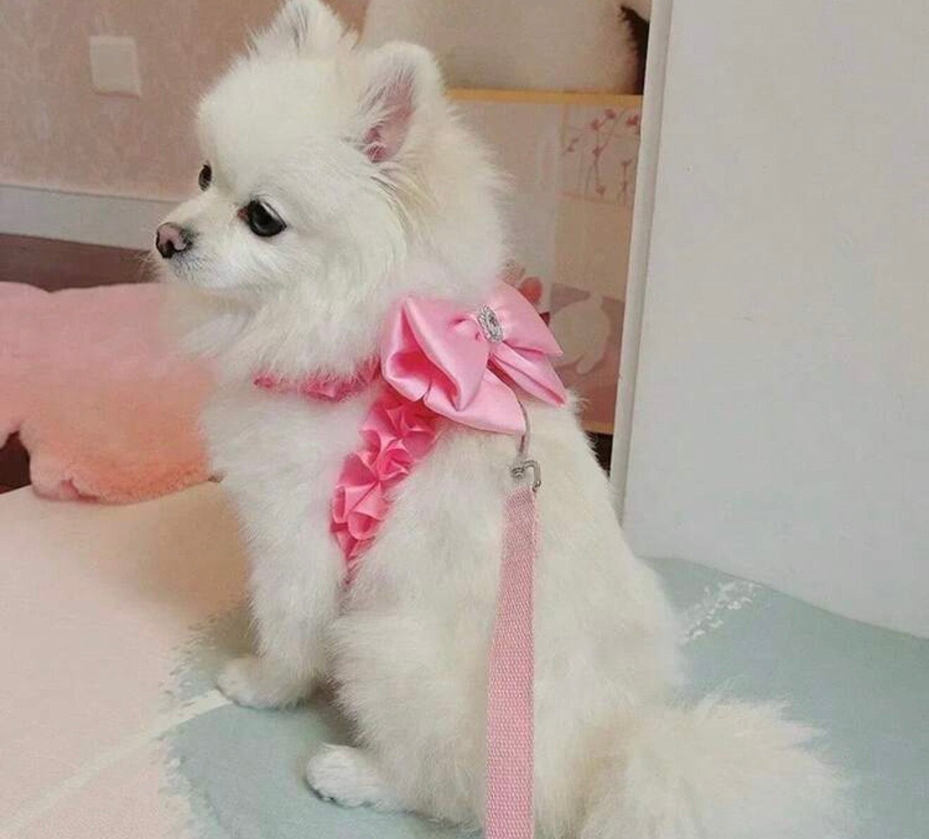 Diva tuig roze + lijn