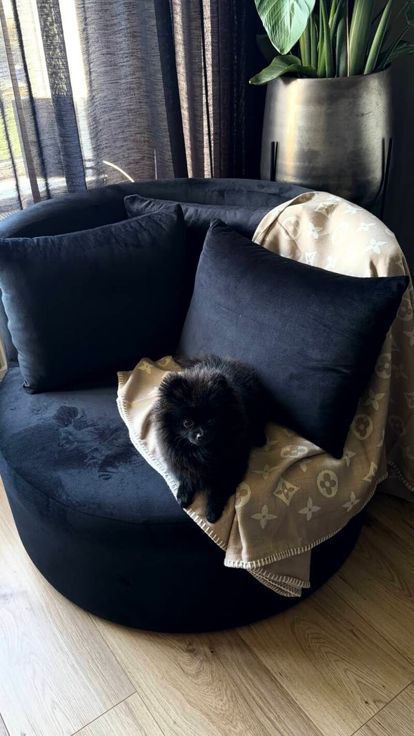 Interieurkleed met LV-print – 130 × 190 cm Taupe