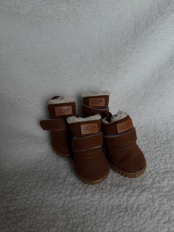 UGG schoenen