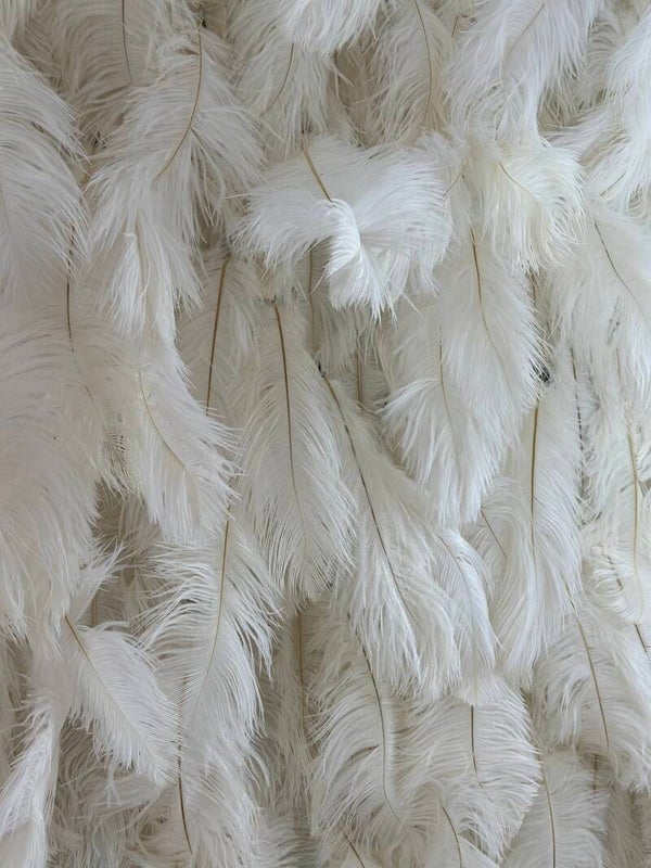 Struisvogel veren wand 2x2