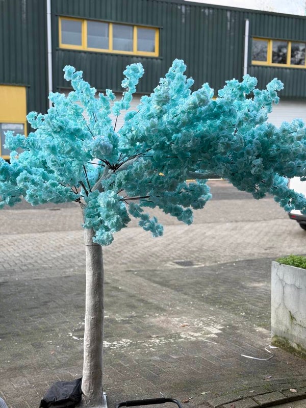 Bloesem boom tiffany blue ( blauw/ turqoise)