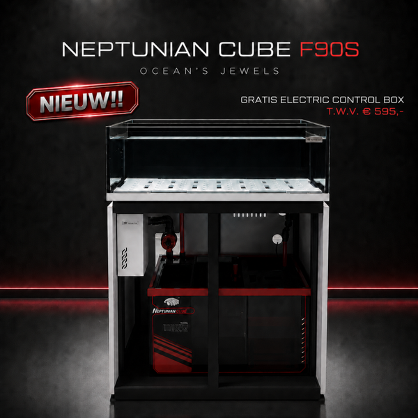 Neptunian Cube Frag Tank 90 – Wit