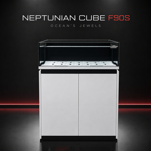 Neptunian Cube Frag Tank 90 Wit