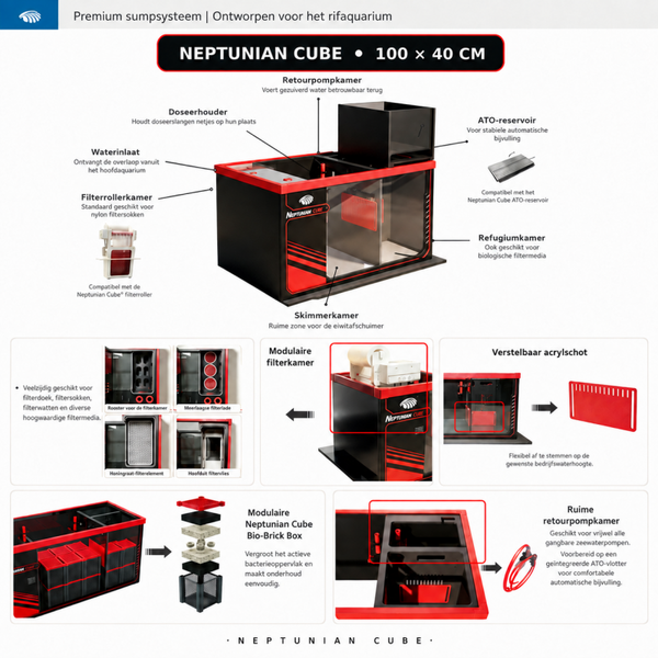 Neptunian Cube 100 × 40 premium filtratie